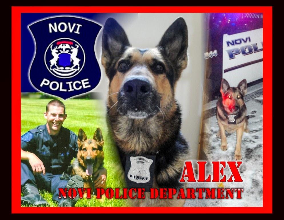 AMVETS War Dog Collage ALEX 061014-6.jpg